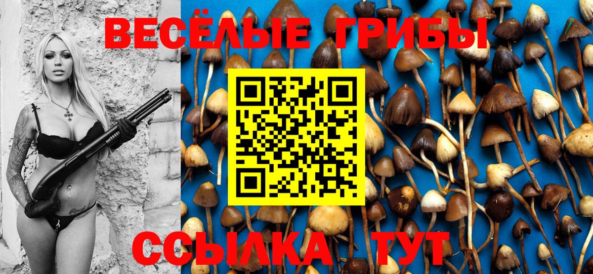 Галлюциногенные грибы Cubensis Нарткала
