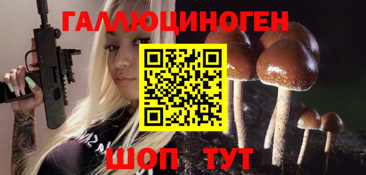 Нарткала  Галлюциногенные грибы MAGIC MUSHROOMS  Вход с VPN 